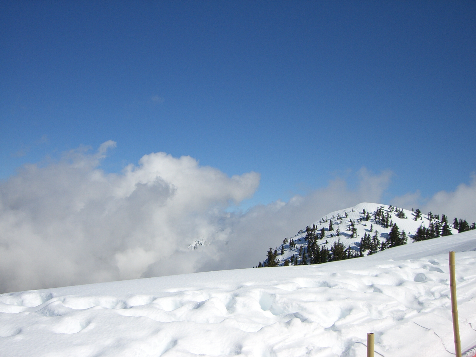 [ski-2007_03_31/CIMG0017.JPG]